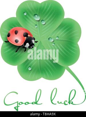 Goof luck clover with a ladybug Stock Vector