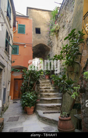 Ancient house with steps and arch in the village of Vernazza. Cinque Terre, Liguria, italy Stock Photo
