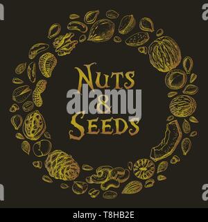 Vector round frame of nuts and seeds. Vector  illustration for your design Stock Vector