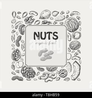 Vector square frame of nuts and seeds on white background. Vector  illustration for your design Stock Vector