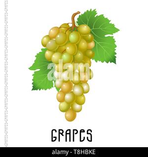 Bunch of green grapes on a white background. Vector  illustration for your design Stock Vector