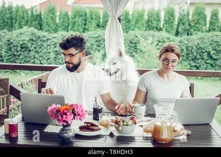 Serious focused married couple engaging in remote work on laptops Stock Photo