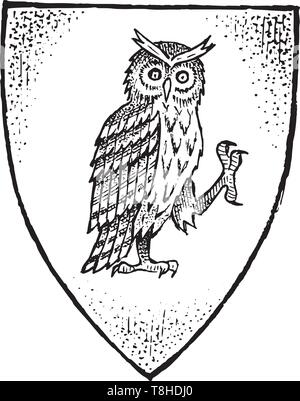 Animal for Heraldry in vintage style. Engraved coat of arms with owl bird. Medieval Emblems and the logo of the fantasy kingdom. Stock Vector