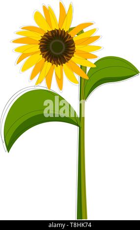 Clipart of a sunflower plant that bears one flower head with bright yellow ray coiled florets on a green-colored slender stalk that has two leaves, ve Stock Vector