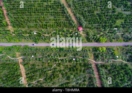 (190513) -- BEIJING, May 13, 2019 (Xinhua) -- Aerial photo taken on Aug. 7, 2018 shows a view of Xiaonanshan Forest Park in Youyu County of Shuozhou City, north China's Shanxi Province. The 'Shanxi Day' theme event held as part of the Beijing International Horticultural Exhibition kicked off in Beijing on May 12. The Shanxi Garden showcases its endeavor in greening and afforestation as well as its concept of green development at the ongoing expo.     No longer mainly relying on its coal industry for growth, Shanxi has been committed to developing clean energy and other emerging industries to s Stock Photo