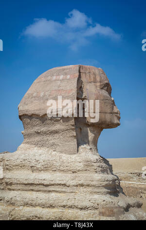 Close-up of the great Sphinx, Giza near Cairo, Egypt Stock Photo