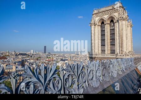 France, Paris, zone listed as World Heritage by UNESCO, the rooth and the south tower of Notre-Dame cathedral on the City island Stock Photo