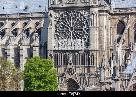 France, Paris, zone listed as World Heritage by UNESCO, the south rose window of Notre-Dame cathedral on the City island Stock Photo