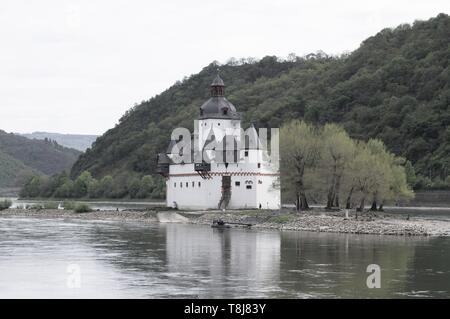 Pfalzgrafenstein Castle (German: Burg Pfalzgrafenstein) is a toll castle on the Falkenau island, otherwise known as Pfalz Island in the Rhine river (K Stock Photo