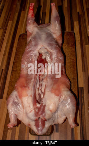 The photo of animal carcass meat for butcher’s shop, restaurant or veterinary expertise Stock Photo