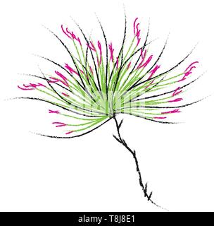 A colorful plant with long elongated leaves and branches set isolated on white background viewed from the front, vector, color drawing or illustration Stock Vector