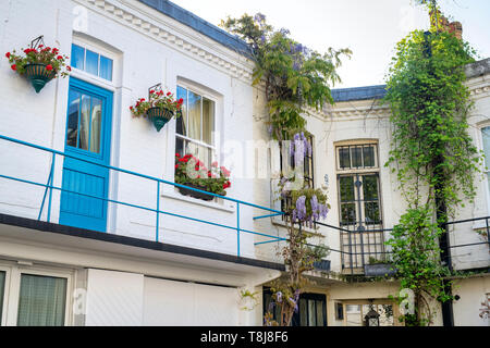 Houses with small trees and shrubs in containers in Courtfield Mews, Kensington, London, England Stock Photo