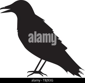 Illustration of a silhouette of a raven on a white background Stock Vector