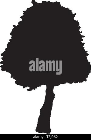 Tree vector silhouette illustration Stock Vector