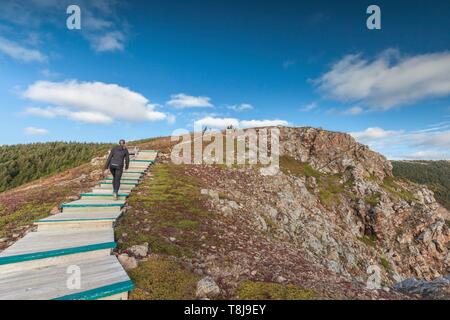 Canada, Nova Scotia, Cabot Trail, Cape Breton Highlands National Park, walkway of the The Skyline Trail Stock Photo