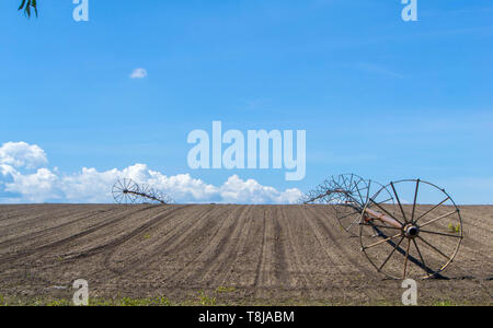 Field with irrigation system. Field irigation. - image Stock Photo