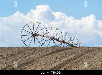 Field with irrigation system. Field irigation. - image Stock Photo