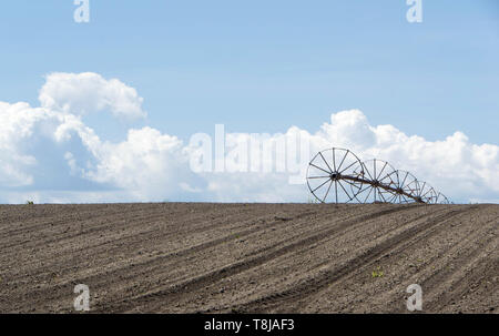 Field with irrigation system. Field irigation. - image Stock Photo