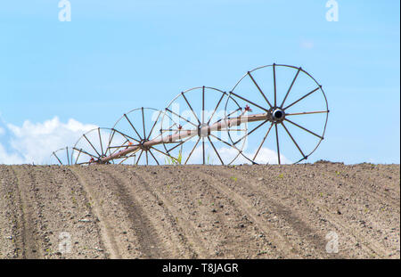 Field with irrigation system. Field irigation. - image Stock Photo