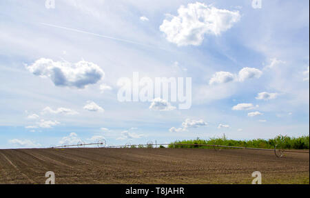 Field with irrigation system. Field irigation. - image Stock Photo