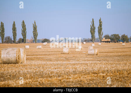 Hay bail harvesting in wonderful autumn farmers field landscape with hay stacks Stock Photo