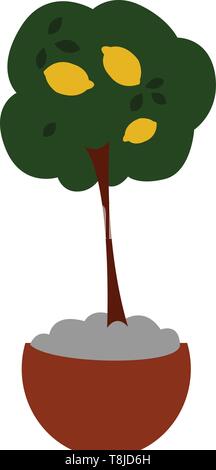 Drawing of Lemon tree with 3 lemons and leaves, vector, color drawing or illustration. Stock Vector