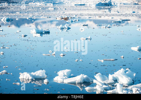 Spectacular glacial lagoon in Iceland with floating icebergs Stock Photo