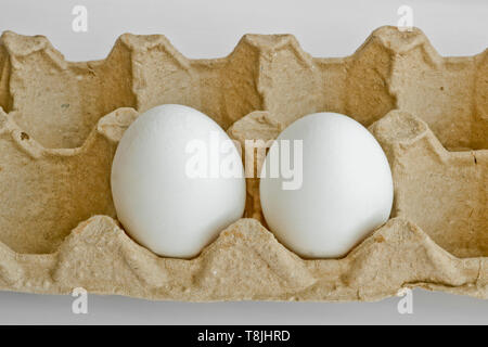 Two white eggs in the package for eggs from the chicken farm. Last egg stocks. Stock Photo