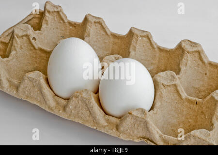 Two white eggs in the package for eggs from the chicken farm. Last egg stocks. Stock Photo