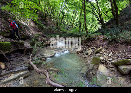 Woman crossing a mountain river stream flowing through thick green forest. Stream in dense wood. Pasjak, Slovenia Stock Photo