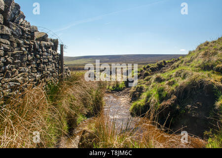 A small river forms on the highlands of the Marsden Moorland, near huddersfield as it cuts its way down the mountain through wild heather, stone walls Stock Photo