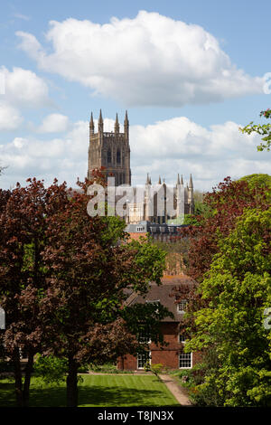 Worcester Cathedral seen from Fort Royal Park, Worcester, Worcestershire England UK Stock Photo