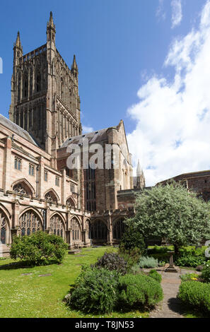 Worcester Cathedral and herbarium garden seen from the cloisters, in spring, Worcester Cathedral, Worcester Worcestershire UK Stock Photo