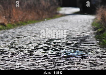 Cobblestones / Paving stones in backlight in the rural area. Stock Photo