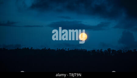 Moon rising in the Amazon. The Amazon rainforest countries are Brazil, Bolivia, Colombia, Ecuador, Guyana, Suriname, Peru, Venezuela. Stock Photo