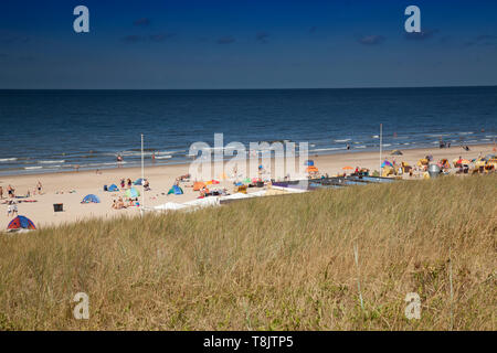 Dune landscape on the beach of Egmond,North sea , Holland, Netherlands Stock Photo