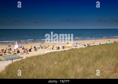 Dune landscape on the beach of Egmond,North sea , Holland, Netherlands Stock Photo