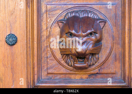 close up wood carving of lion face and head in relief on a wooden front door panel as architectural details and design on a building in Cape Town city Stock Photo