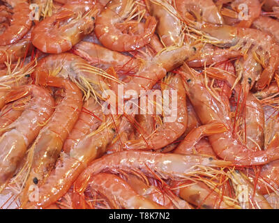 Fresh shrimps on ice at a fisk market Stock Photo
