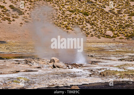 The geyser at the Rio Blanco, El Tatio, San Pedro de Atacama, Chile Stock Photo