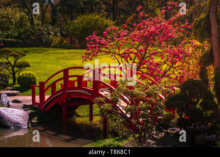 Japanese garden in Toulouse city park, France. Nice outdoor scene. Stock Photo