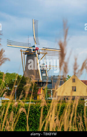 Windmill in Holland; Original working windmills at the Village of De ...