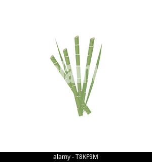 It is a tall tropical grass with hard, hollow stems, used to make furniture and fences., vector, color drawing or illustration. Stock Vector