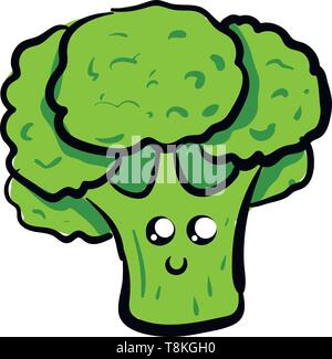 Broccoli is a vegetable with dense cluster of tight green flower buds. There are several kinds of broccoli., vector, color drawing or illustration. Stock Vector
