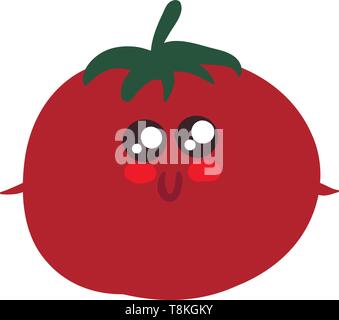 It is round red or yellow pulpy fruit eaten cooked as a vegetable or raw in salads., vector, color drawing or illustration. Stock Vector