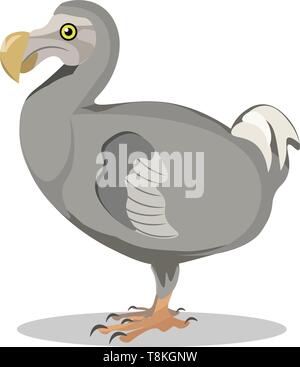Dodo bird extinct animal illustration Stock Vector Image & Art - Alamy