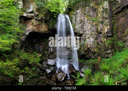 Melincourt Waterfall Resolven Neath in spring Stock Photo