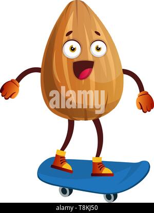 Almond on a blue skateboard, illustration, vector on white background. Stock Vector