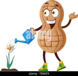 Peanut watering flowers, illustration, vector on white background. Stock Vector