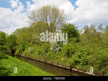 Potteric Carr, a Yorkshire Wildlife Trust nature reserve, near Doncaster, South Yorkshire, England UK Stock Photo